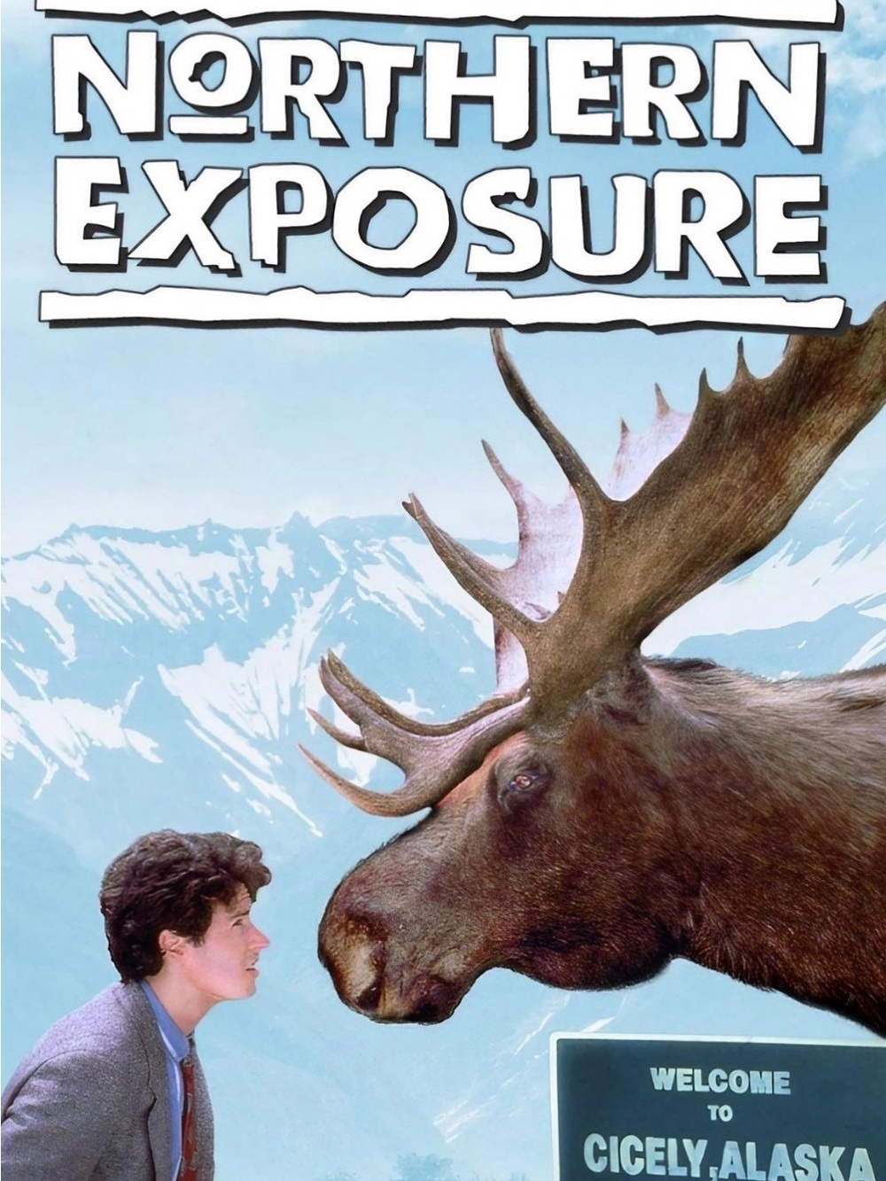 Northern Exposure TV Series SEASONS 1, 2, & 3 ONLY,      $11.00 for all 3 season